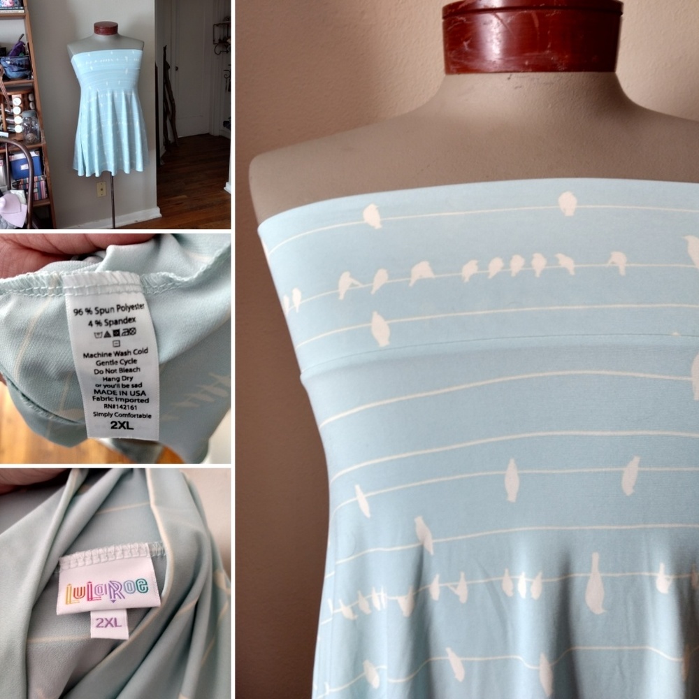 🐦 Bird on a Wire Unicorn Azure skirt/swing top